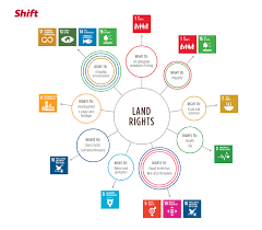 What land rights can result in for the future.  Noting how most people rely on land.
#communitylandprotectionguide #landrights
@womeninagriculture @habitat_intl @  @landcoalition @Landesa_Global @WCOZIMBABWE @ZiLAN2015