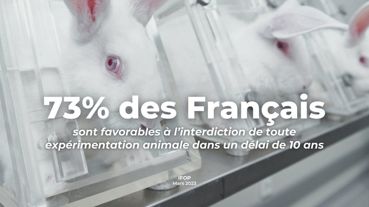 Aujourd’hui, c’est la Journée Mondiale des Animaux dans les Laboratoires 🔬 ➡️Alors que 3 Français sur 4 sont favorables à l’interdiction de toute expérimentation animale d’ici 10 ans, des eurodéputés ont voté contre cette interdiction. Interpellez-les👇 activoice.online/campaign/ee271…