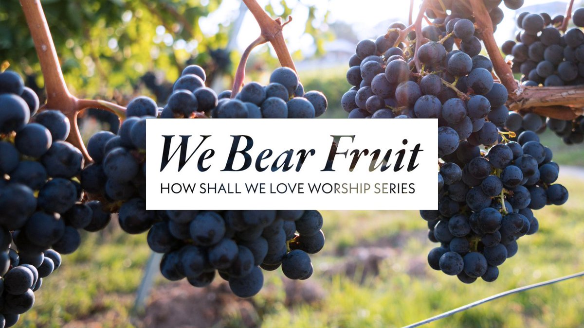 LowerMethodist's tweet image. This Sunday, during our 10:30 worship service, we are looking forward to music by Strings and Things.  Pastor Yosub's sermon will be "We Bear Fruit."  We invite you to read 1 John 4:7-21 and John 15:1-8. We are also offering communion - all are welcome to the table.