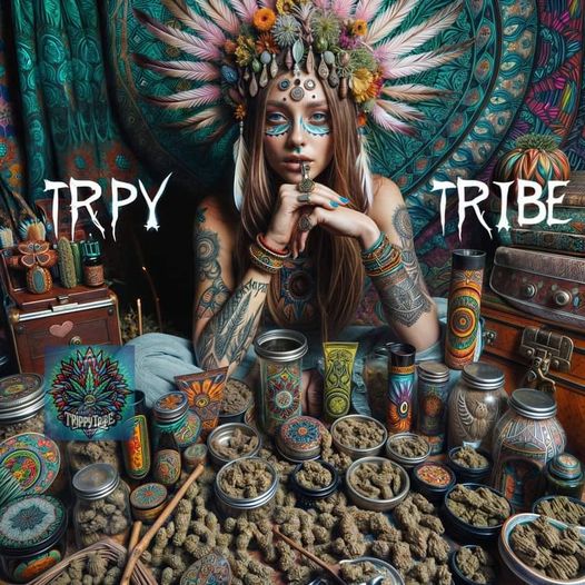 Tracy Goudreau tweet media