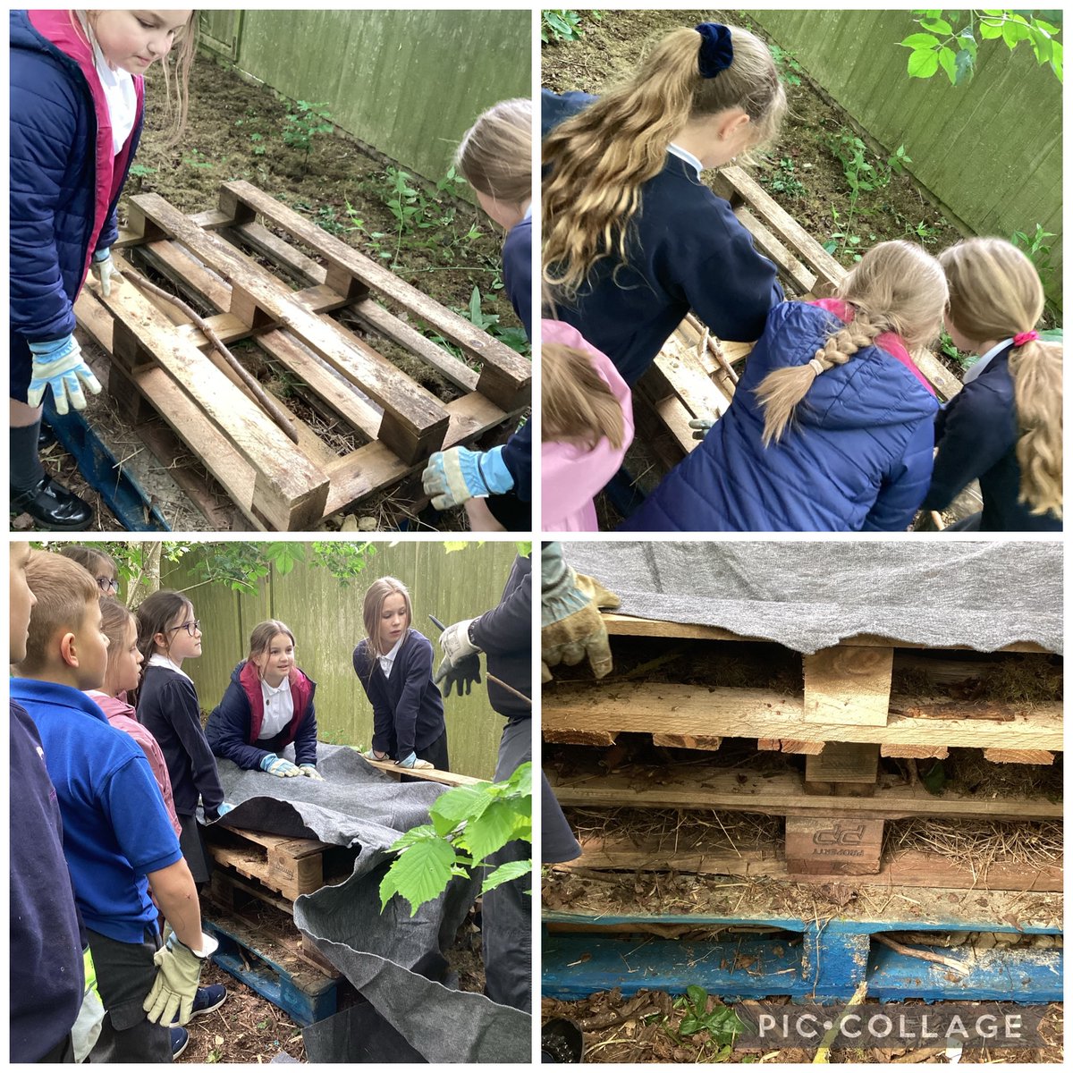 OWPS_forestschool (@owps_forest) on Twitter photo Nene Park Trust came to build a bug hotel with some of our year 4 children today! We are looking forward to seeing what bugs come to stay! <a href="/owpsnightingale/">OWPSnightingales</a> <a href="/owps_nighthawks/">OWPS_nighthawks</a> Nene Park Trust came to build a bug hotel with some of our year 4 children today! We are looking forward to seeing what bugs come to stay! <a href="/owpsnightingale/">OWPSnightingales</a> <a href="/owps_nighthawks/">OWPS_nighthawks</a>