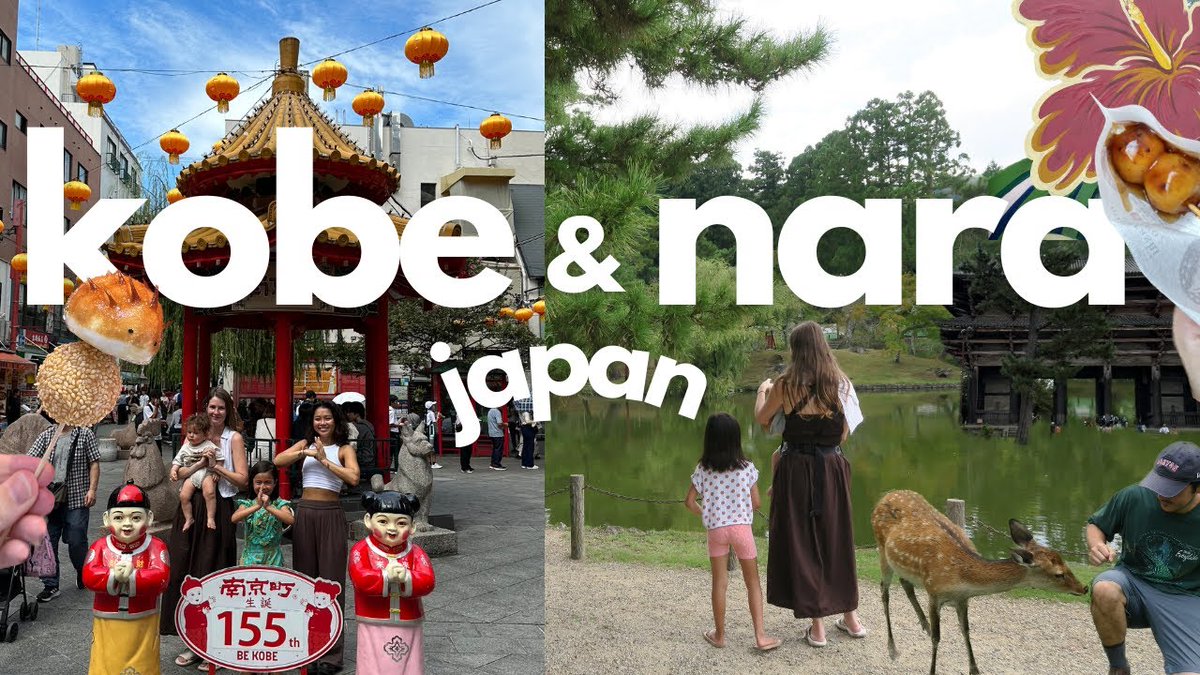 #Nara & #Kobe #Vlog 🇯🇵🦌 2 day it ...
 
alojapan.com/1055662/nara-k…
 
#FamilyTravel #JapanTravel #JapanWithKids #KobeDestinations #KobeTour