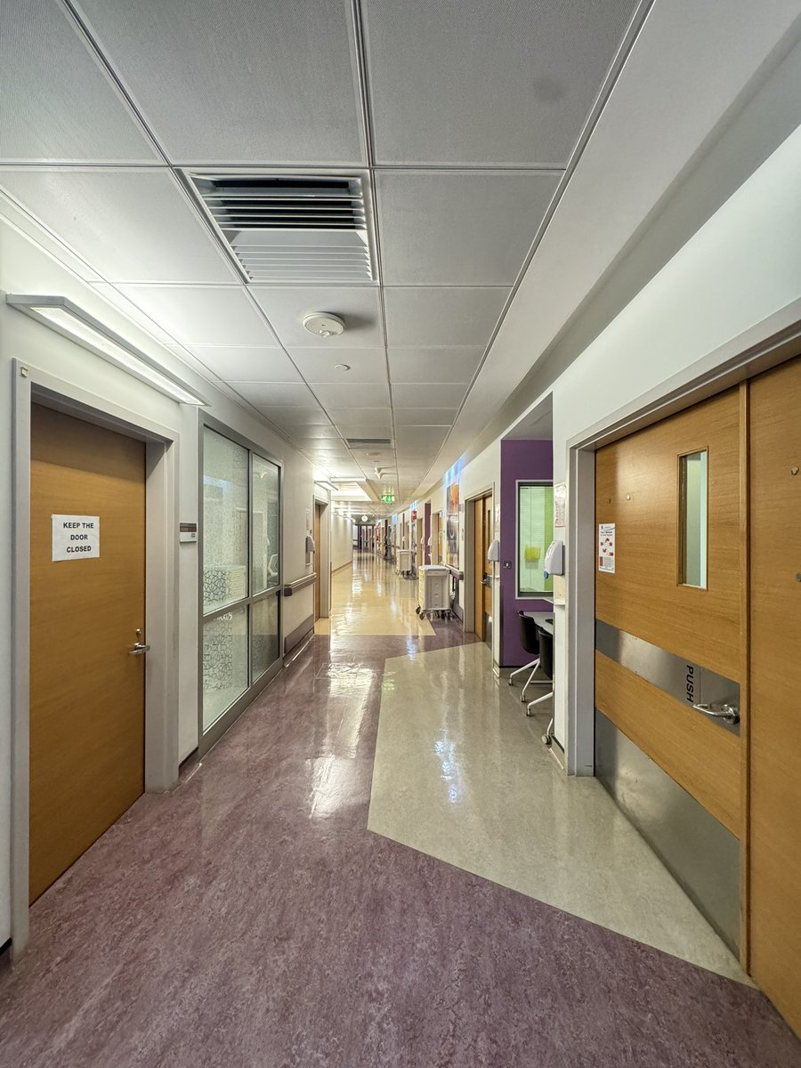 adelmie's tweet image. Life lately…