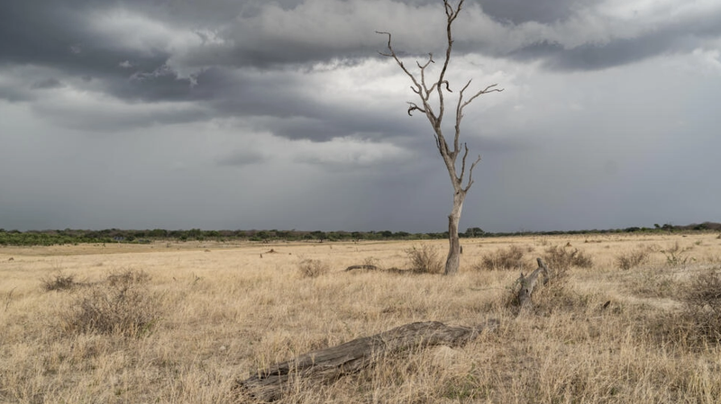 ECR_Newswatch's tweet photo. El Nino threatens grain shortages in southern Africa

https://t.co/QJWqgdYWrl https://t.co/k7oDZosoBL