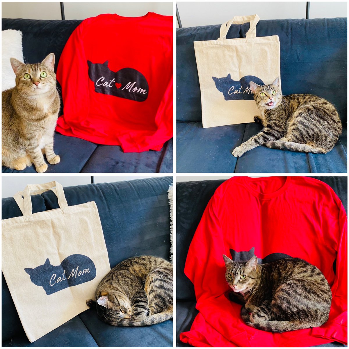 🎉 #CatLadyDay presents for mum arrived! Mum can sport this purrrfect ‘Cat Mom’ tee while she uses the bag to carry our cans of food to the lake! Remy liked the design & mirrored it! 😹 — Hazel From @cheetoandbalaze ▶️ etsy.com/shop/CatsAreAw…  #CatMom #FelineFashion #catsofX
