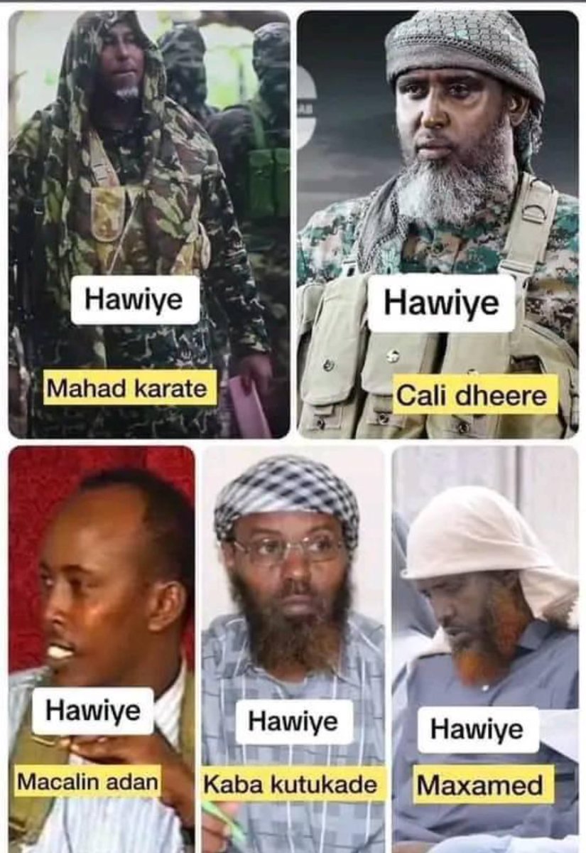 Alshabab:

High percentage of members: One clan

Majority of towns and districts governed by Alshabab : One clan

Majority of the women and children raised under Alshabab = One clan

But mooryans waffling on X 🤣🤣