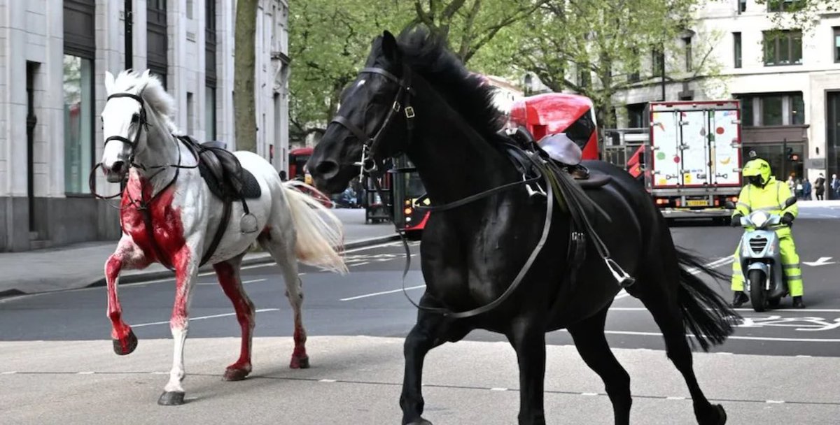 🚨 Just In Five Household Cavalry horses, including one covered in blood, were also seen charging through other areas of London including Tower Bridge and the Strand. 5 people injured.