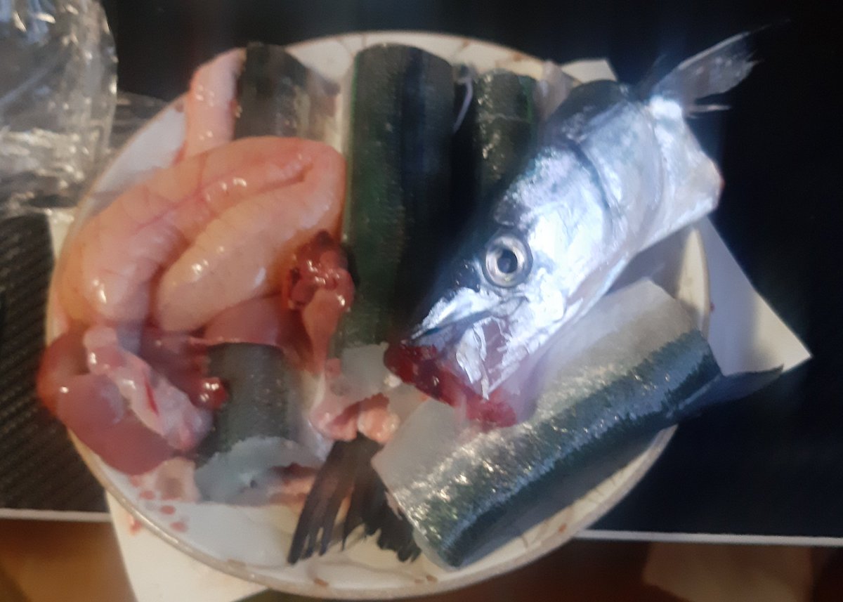 whitestoner's tweet photo. 今日の長崎県海産物直売所。サヨリ丸ごと1匹 800gが180円。長いのでぶつ切りにした。#さより#サヨリ #halfbeak #ปลาเข็ม https://t.co/X8GsC5YO3a