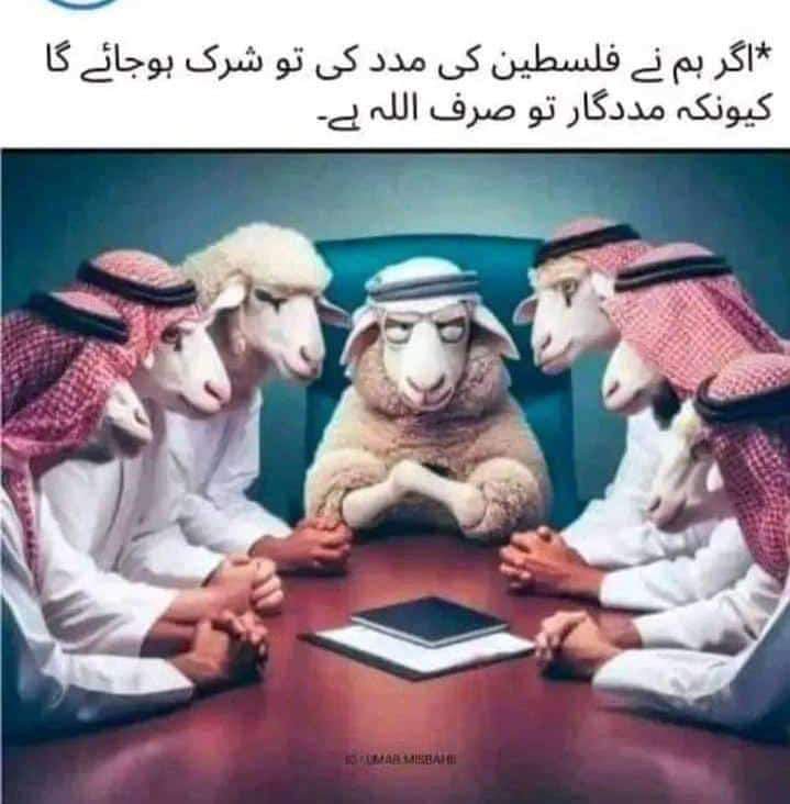 Jawad Ali (@jawadali9532) on Twitter photo 