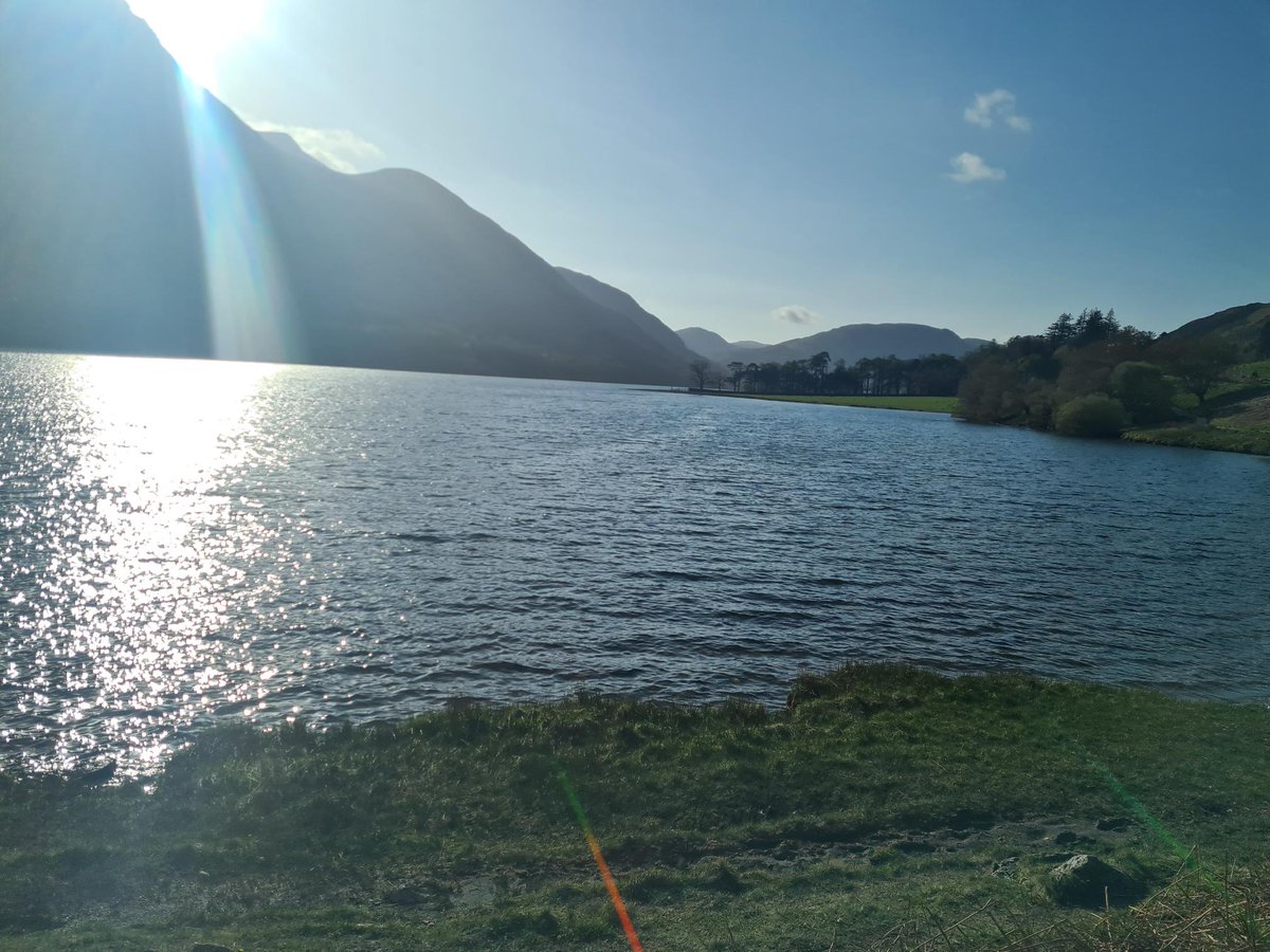 RAA School tweet media