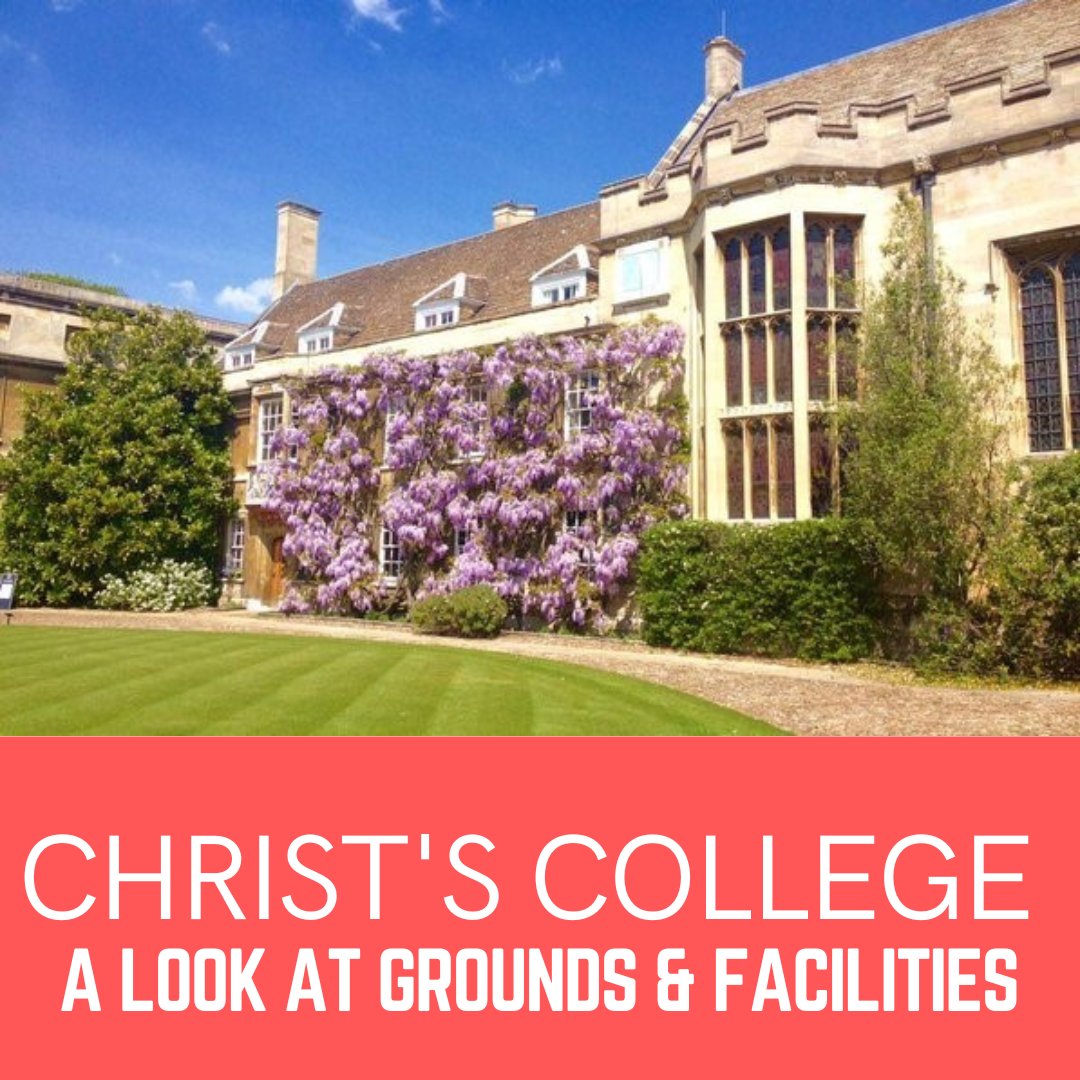 18 June at 16:30 - a webinar
🟡 See what Christ's College, Cambridge is like, even if you can't visit
🟡 For prospective undergraduate students!
➡️ Book a place: ow.ly/ECuA50RkWga

#CambridgeUniversity #CambridgeColleges #OpenDays #OnlineEvent #Webinar #university #Oxbridge