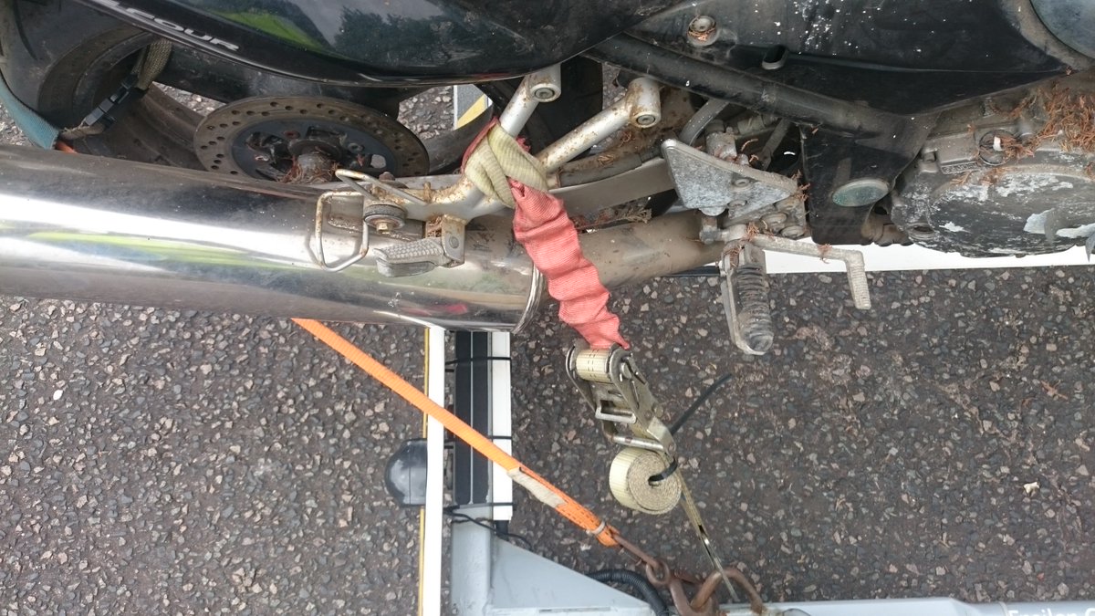 Trailer1one's tweet photo. Suzuki Bandit GSXF 600 tells its own story as it's been chained to a fern tree I suspect for a while as it didn't want to let go locks were seized etc Plenty of TLC required to get this heavy weight back on the road https://t.co/4E1JjKygb1