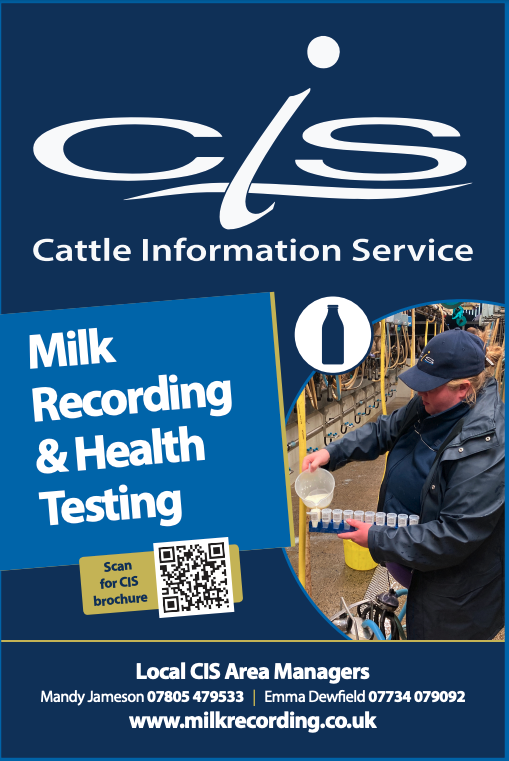 It is great to see The Cattle Information Service continuing their support at Carmarthen Livestock Mart. Keep an eye out for their sign the next time you visit. #teamdairy #dairyfarmer #welshfarming @NockDeightonAg @CISTelford