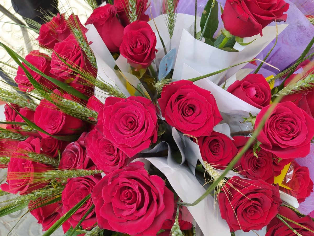 casalinfants's tweet image. Ahir vam fer crèixer roses d'oportunitats ✨🌹 Moltes gràcies per haver vingut a veure'ns a la nostra paradeta!
Vam poder celebrar un Sant Jordi solidari ple de roses i llibres 📚

#santjordi2024 #oportunitats #collaboracio #catalunya