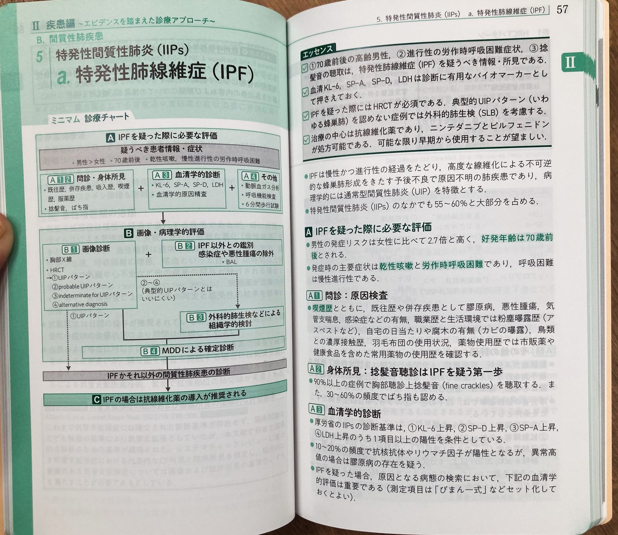 研修医のための呼吸器病学エッセンシャル Amazon.com: 研修医のための呼吸器病学エッセンシャル