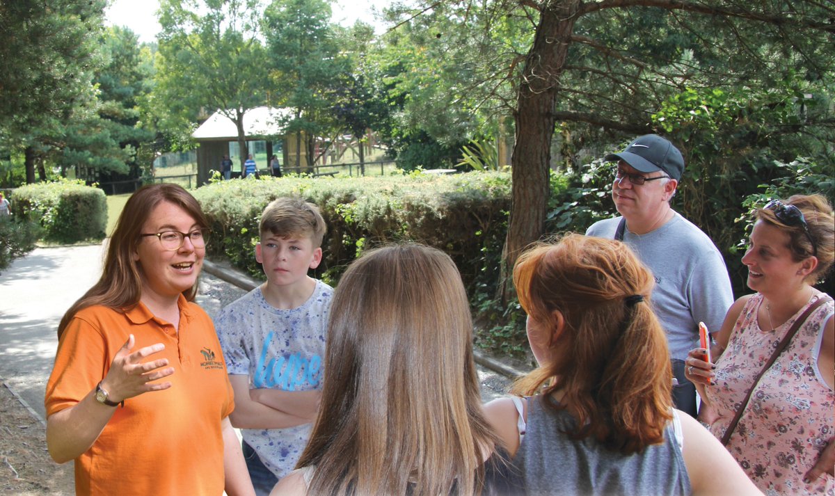 A tour at Monkey World can make a good visit great! Our tour guides share the history of the park, the unique stance of a rescue centre, as well as insights into the primates' rescues & personalities. Visit the website for more info & call 01929 462537 to book!