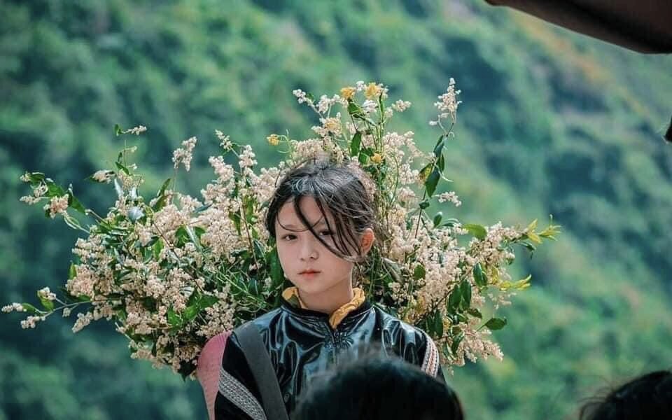 ⛰Caonguyenda💕🇻🇳 tweet media