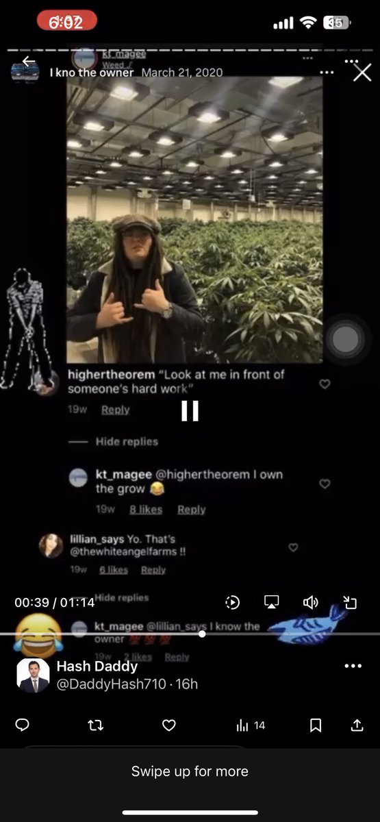 DaddyHash710's tweet photo. @GovernorHat @lowkeymagee Nothing new she thinks people are stupid , she definitely knows the owner lol https://t.co/GM8CvTeedi