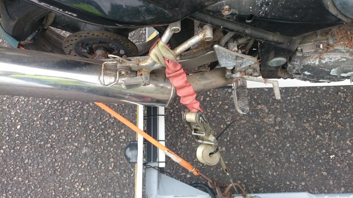 Trailer1one's tweet photo. Suzuki Bandit GSXF 600 tells its own story as it's been chained to a fern tree I suspect for a while as it didn't want to let go locks were seized etc Plenty of TLC required to get this heavy weight back on the road https://t.co/4E1JjKygb1