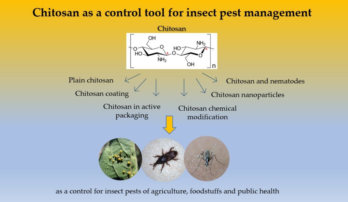 #mdpi_insects #editorschoicearticle
#Chitosan as a Control Tool for #InsectPestManagement: A Review
🎓by Linda Abenaim and Barbara Conti
📚included in the Special Issue 'New Formulations of Natural Substances against #InsectPests'
👉Access the paper: mdpi.com/2075-4450/14/1…