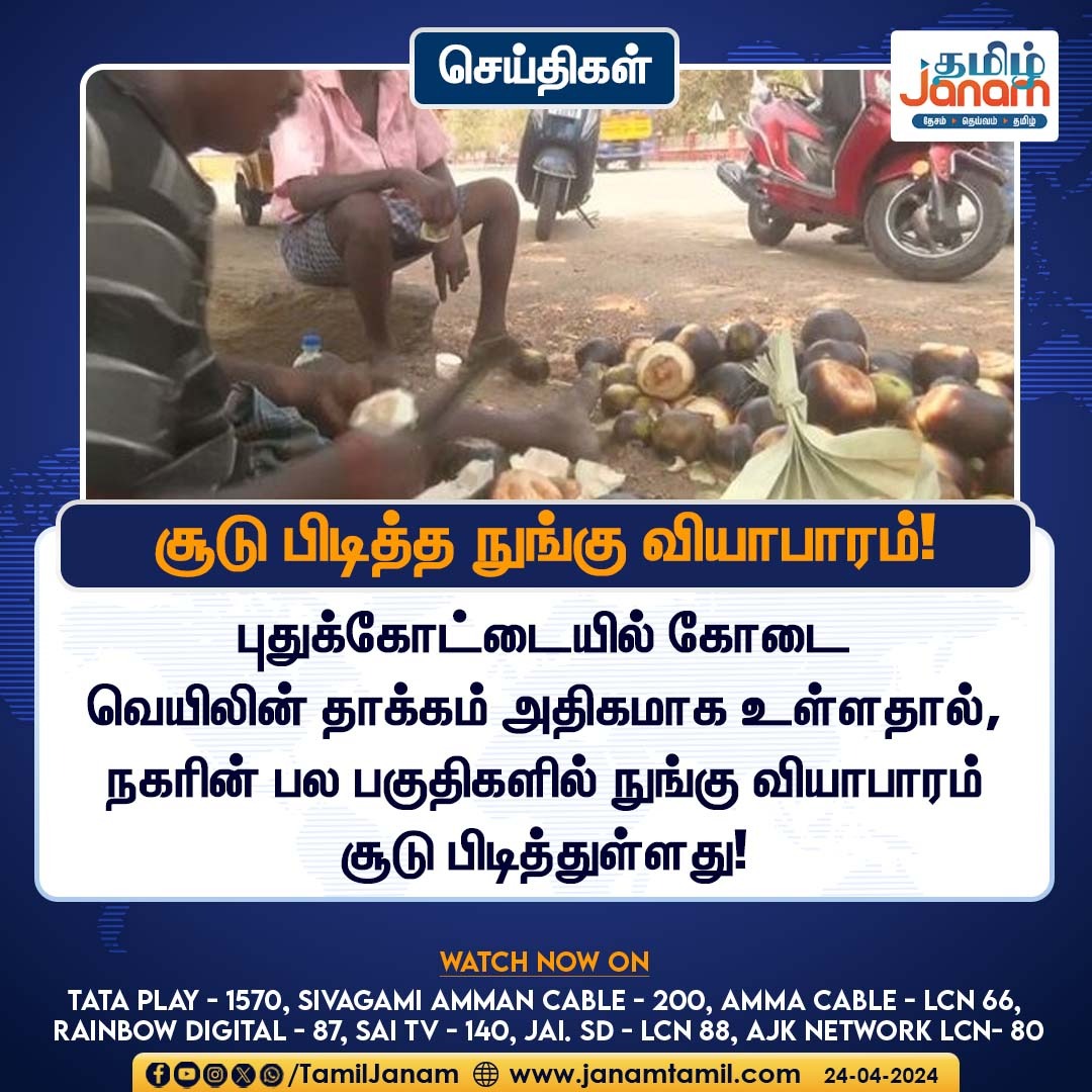 TamilJanamNews's tweet image. சூடு பிடித்த நுங்கு வியாபாரம்!

#iceapple #puthukottai #summertime #TamilJanam