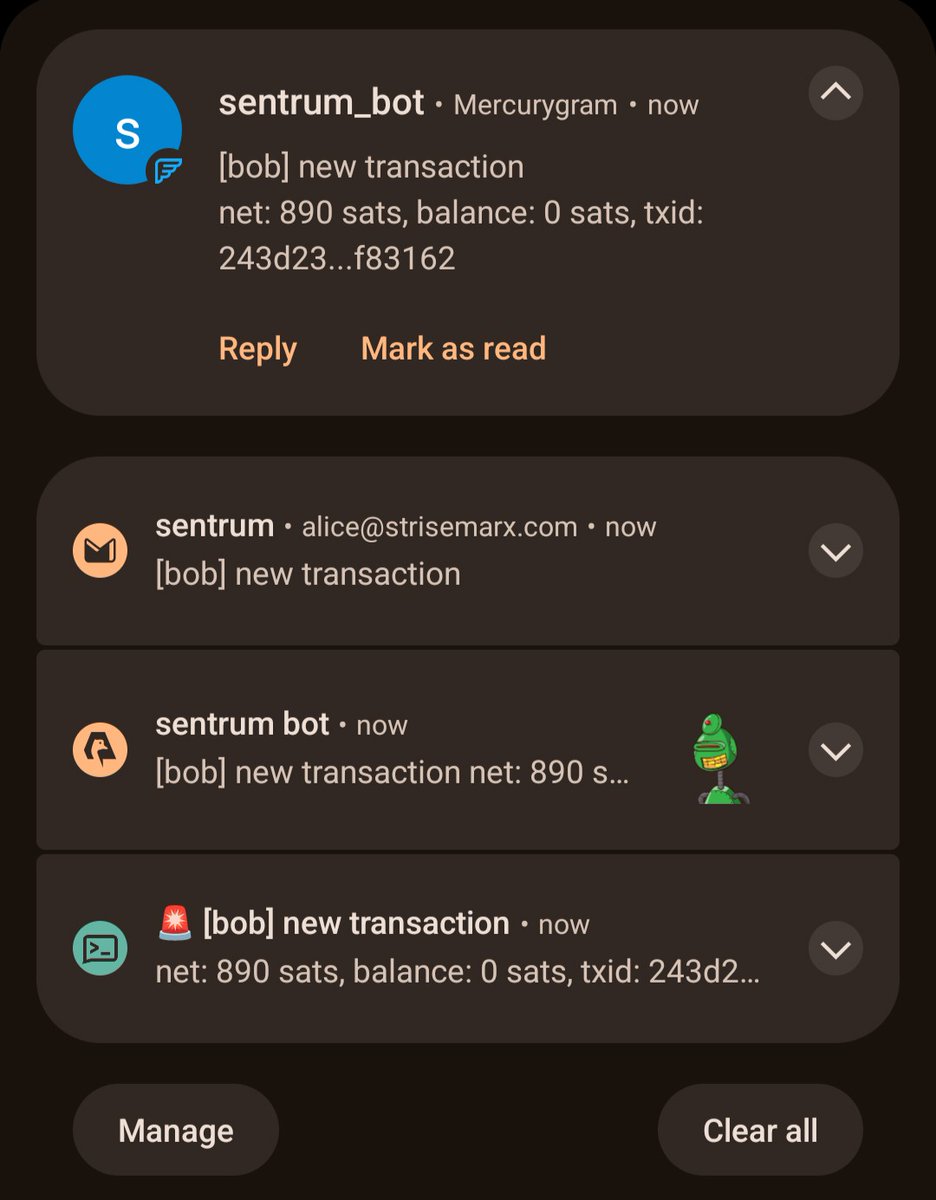 sommerfeld___'s tweet image. Example of all #sentrum notifications running at once for a single transaction: