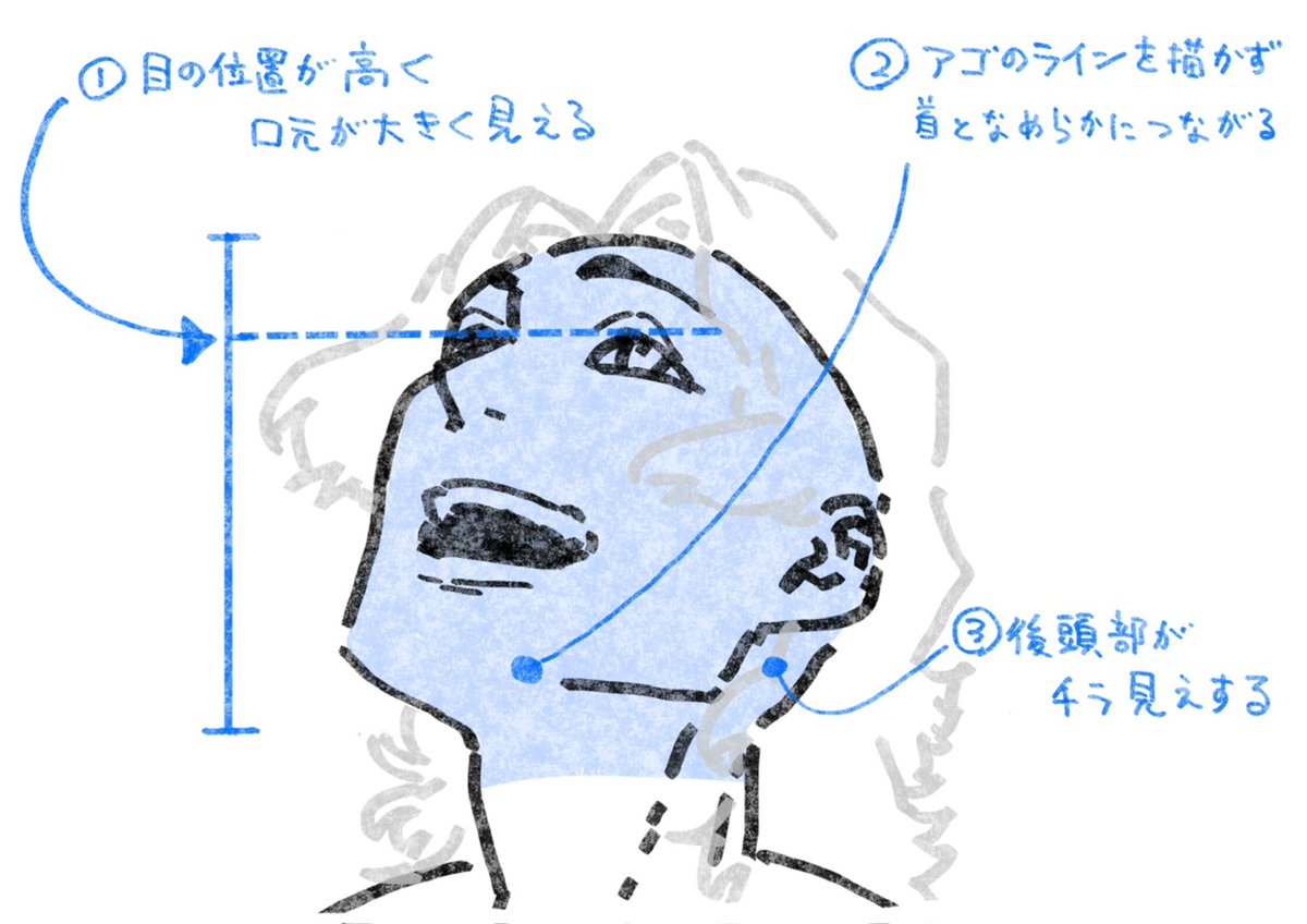 初心者が苦手なアオリの顔を描くポイント。
➡️ https://t.co/Ef1Sq20LXI 