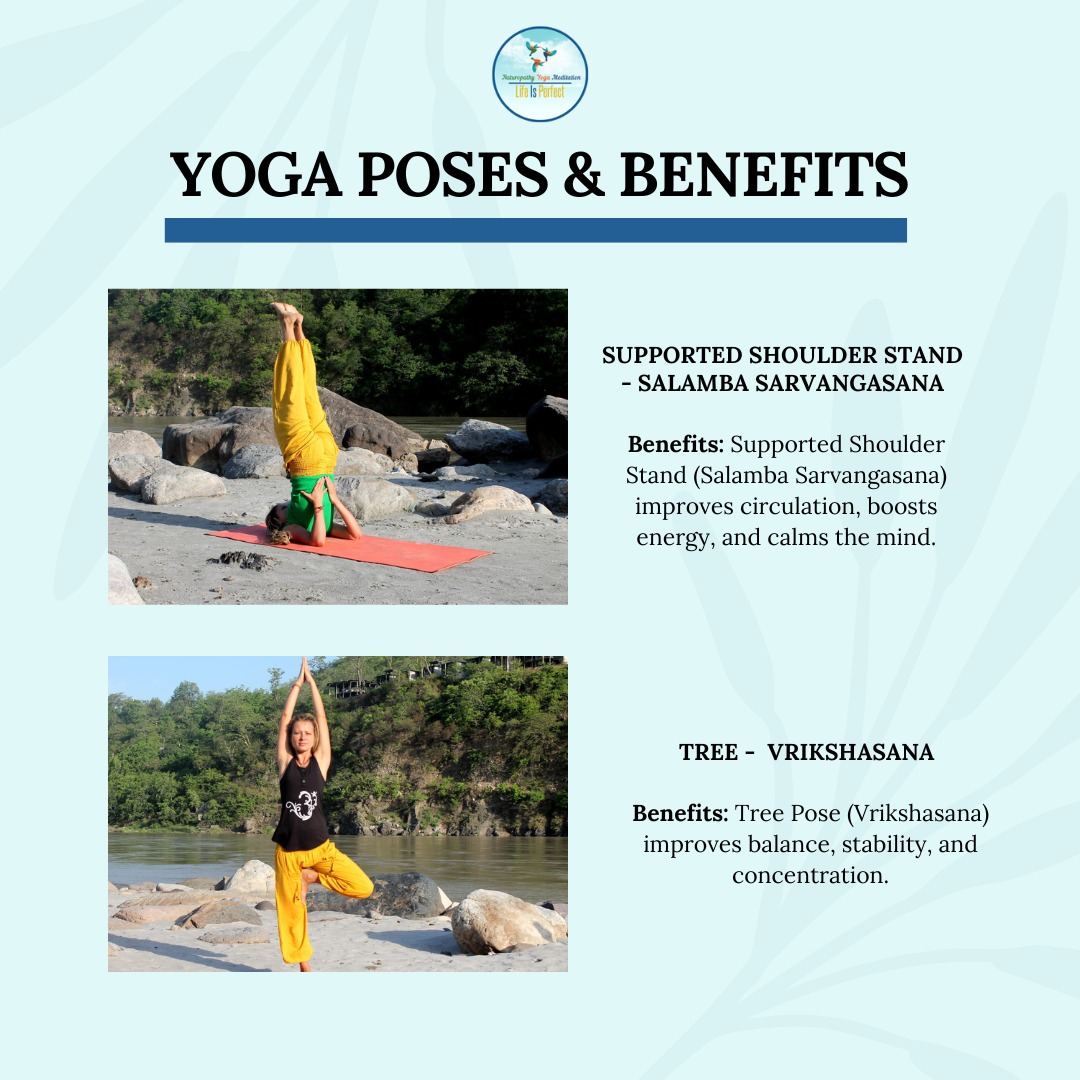 LifeisPerfect0's tweet photo. Explore the Potential of Yoga Pose and Change Your Life! 
Join our Yoga Teacher Training Course in Rishikesh and embark on a journey of self-discovery and growth. 
#yogaposes #yogaposesandbenefits #yogadailypractice #yogainspiration #yogalife #yogateachertraining https://t.co/pJStjiDk8O