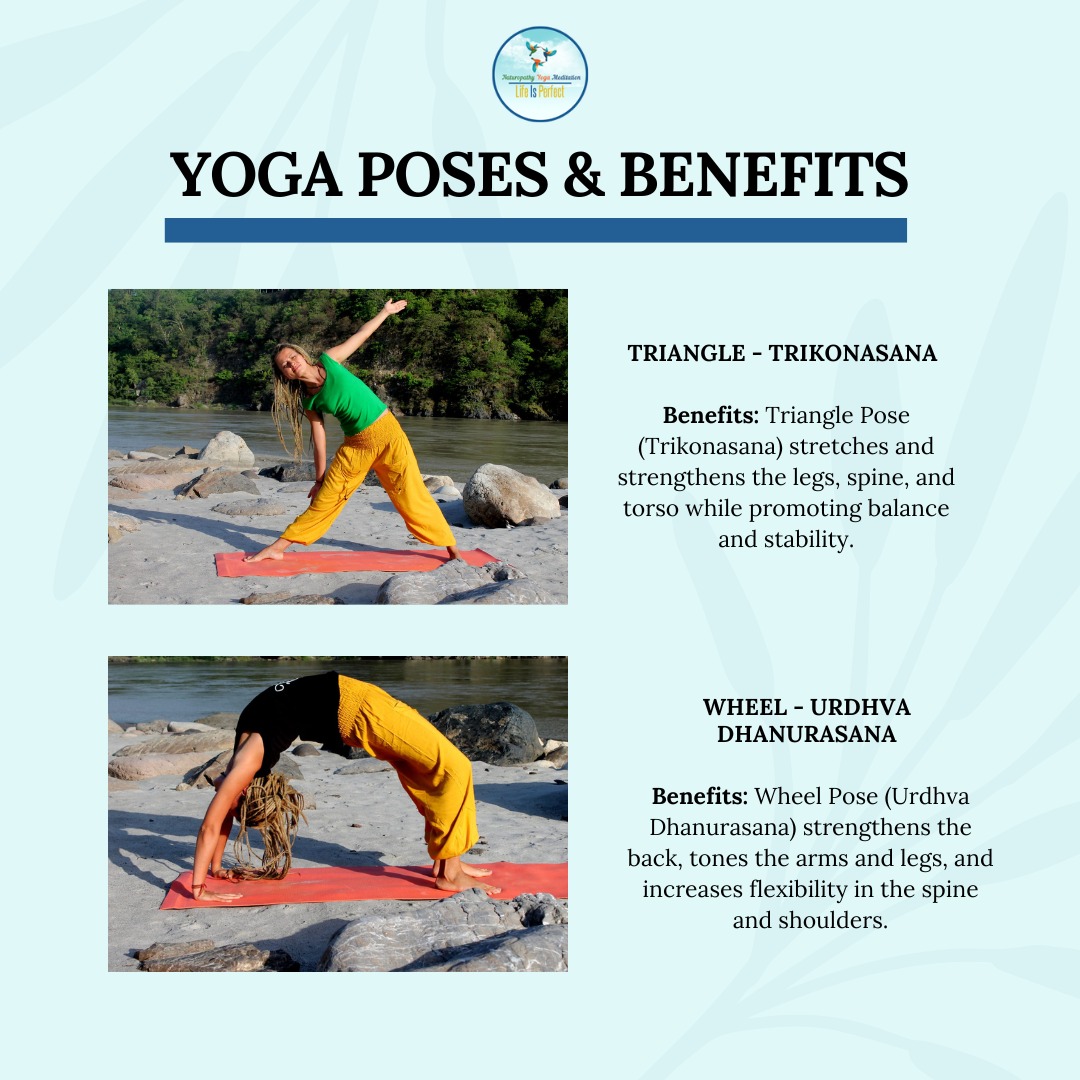 LifeisPerfect0's tweet photo. Explore the Potential of Yoga Pose and Change Your Life! 
Join our Yoga Teacher Training Course in Rishikesh and embark on a journey of self-discovery and growth. 
#yogaposes #yogaposesandbenefits #yogadailypractice #yogainspiration #yogalife #yogateachertraining https://t.co/pJStjiDk8O