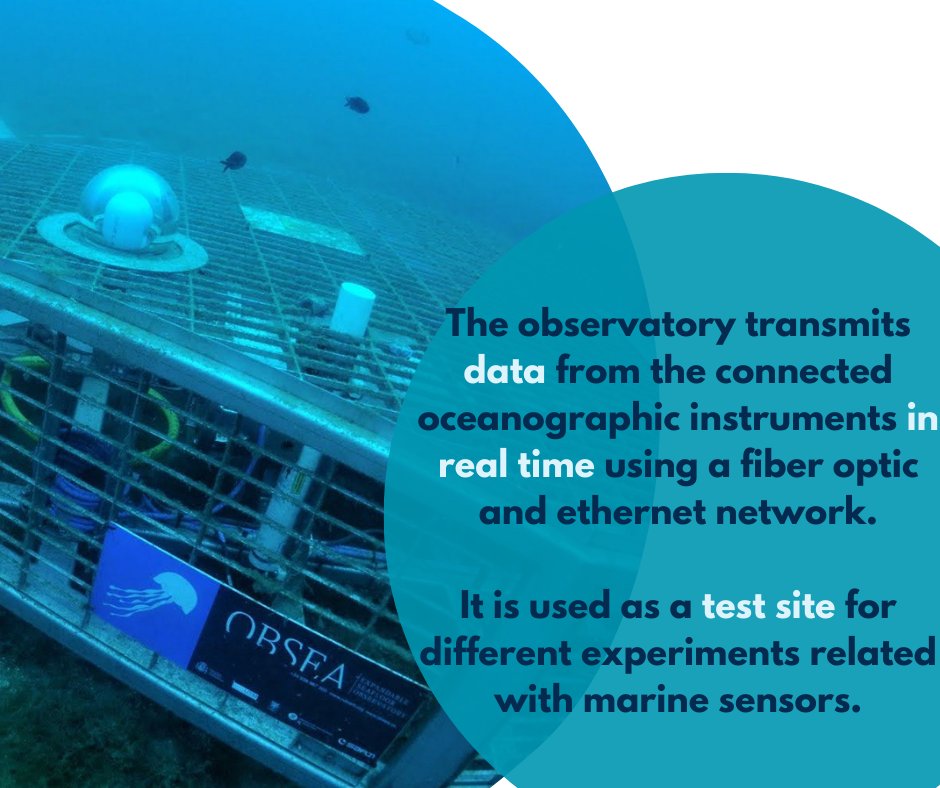 🌊 Explore the EMSO Regional Facility #OBSEA with us! 👉 OBSEA is a cabled underwater observatory that provides real time data for oceanographic research and provides a test site for researchers. 🔎 Learn more: emso.eu/observatories-… #DiveInEMSO