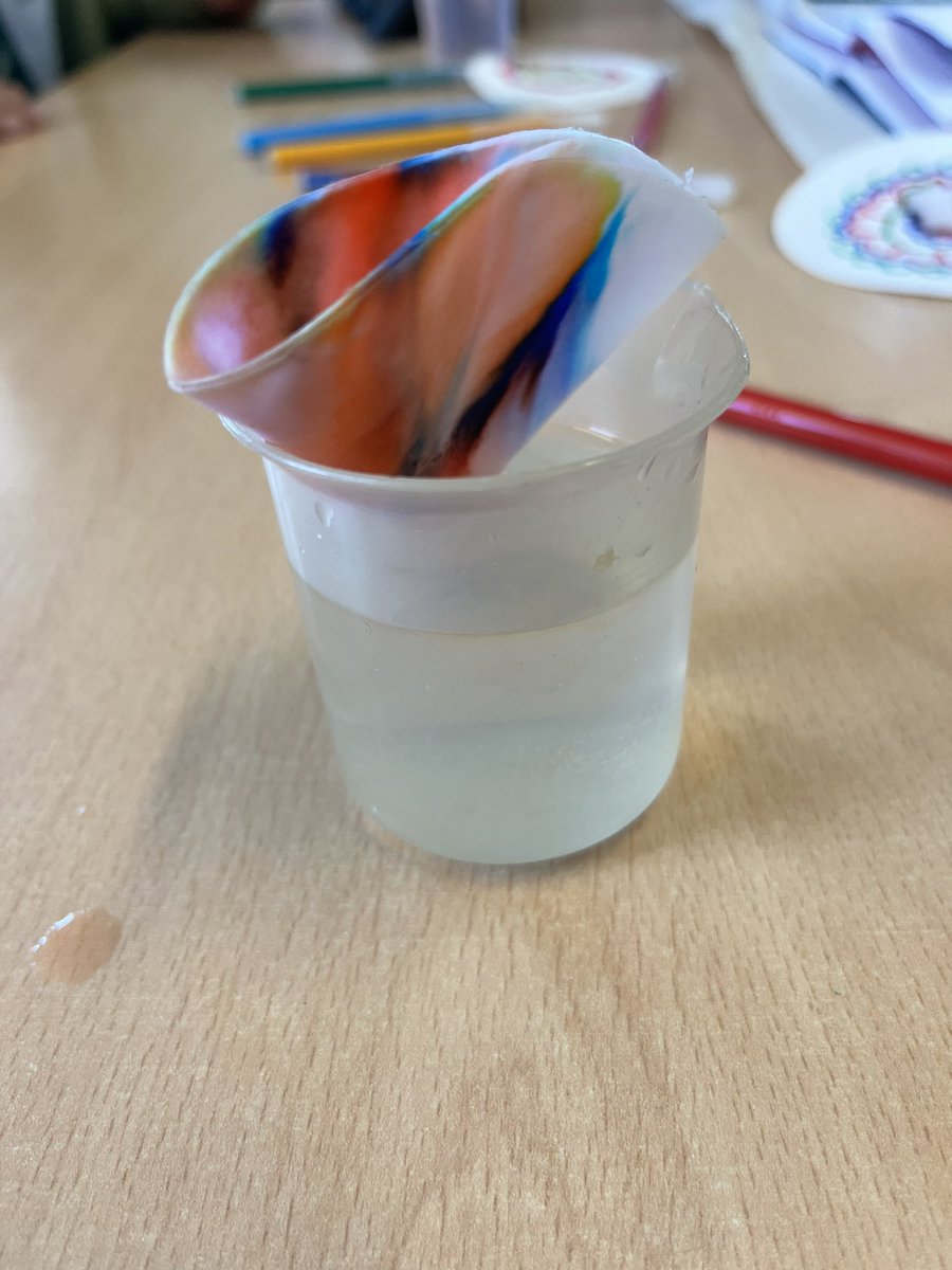 Brilliant morning at Holy Cross Primary to meet some future Holyrood learners and introducing them to chromatography
