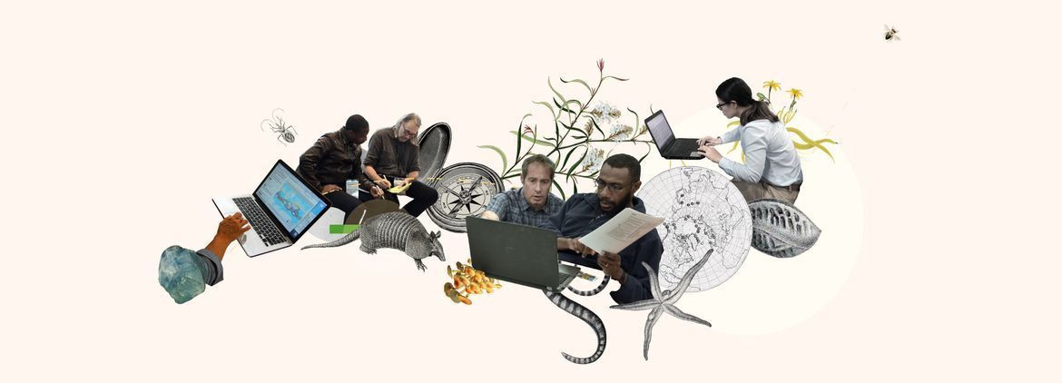 Need to brush up on your #Python skills? Learn how to analyse #biodiversity #data in R?

GBIF users in Latin America and the Caribbean, Africa, Asia, Northern Eurasia and the Pacific can get free access to <a href="/DataCamp/">DataCamp</a> online courses #DCDonates

Apply here gbif.org/data-use-club#…