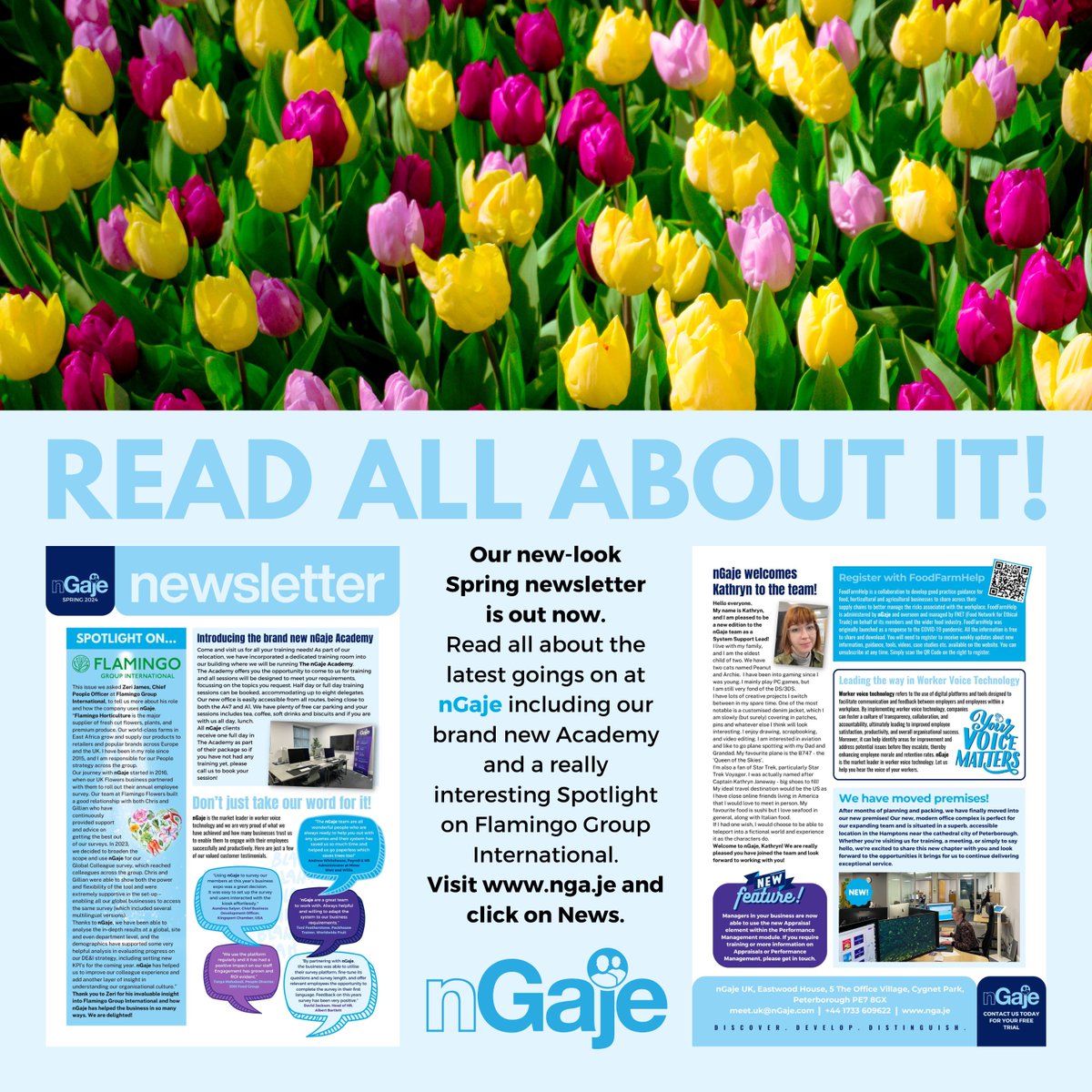 nGaje's tweet photo. Although it doesn't really feel like it - we've still got our woolies and the heating on - it is officially Spring! 🌷 This means our latest newsletter is live and ready to read! Head over to https://t.co/AR0YepGQvF and click on News to find out what's been happening at nGaje. https://t.co/eNf51tMYQJ
