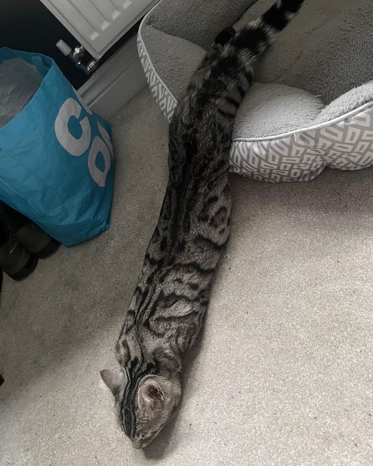 ถ้าลักษณะนี้น้องจะลอกคราบใช้มั้ย