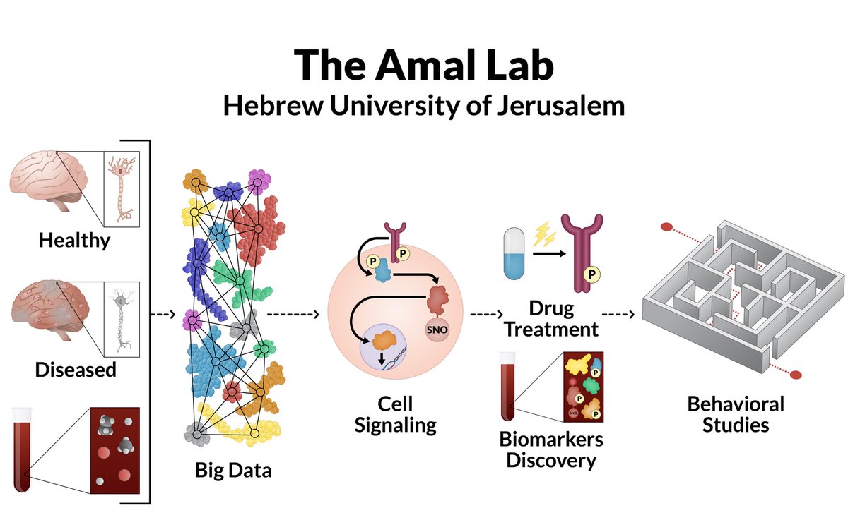 A Postdoc position is available at the Amal Lab! Do you want to be part of drug development projects for brain disorders in collaboration with a US Pharma company? Experience in animal models is a must. Send me your CV at Haitham.amal@mail.huji.ac.il