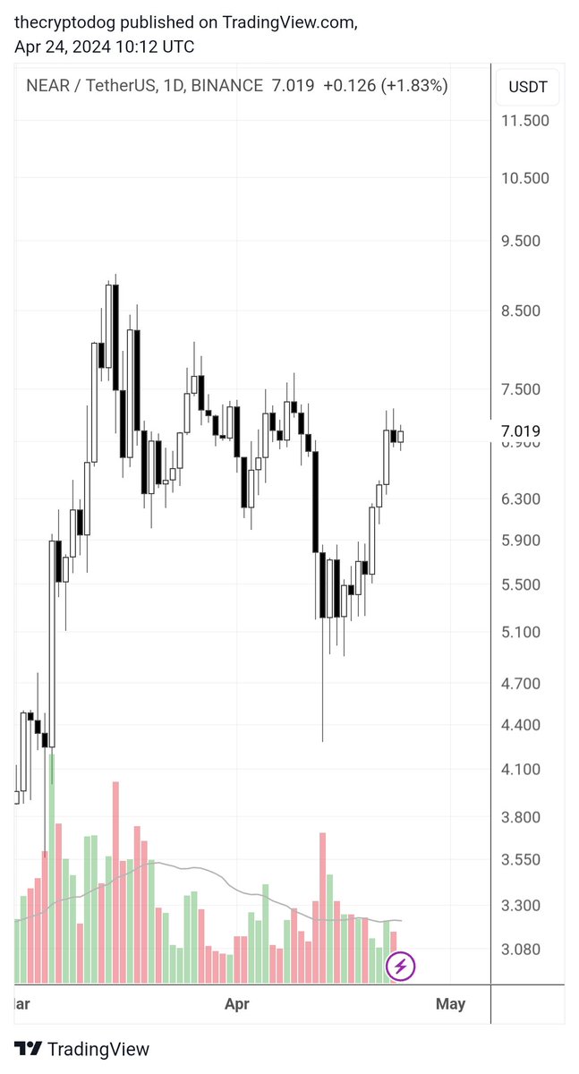 The Crypto Dog 📈 tweet media
