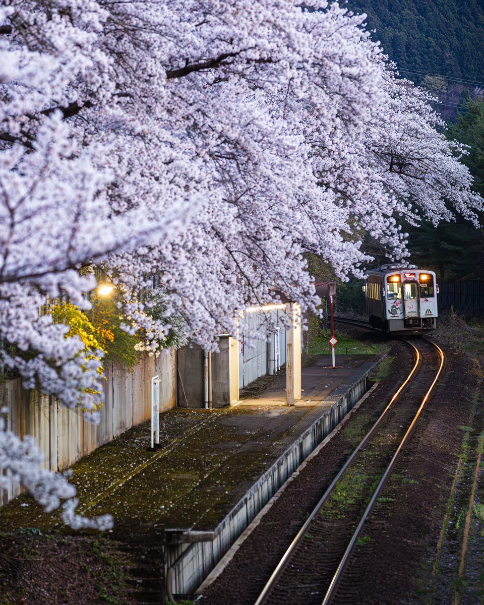 夕暮れ時の会津鉄道🚃

#東京カメラ部