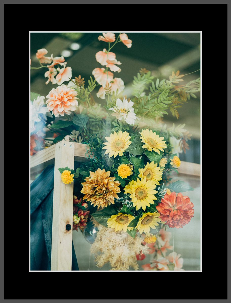 yu29_18's tweet photo. flowers https://t.co/V3FSA524eR