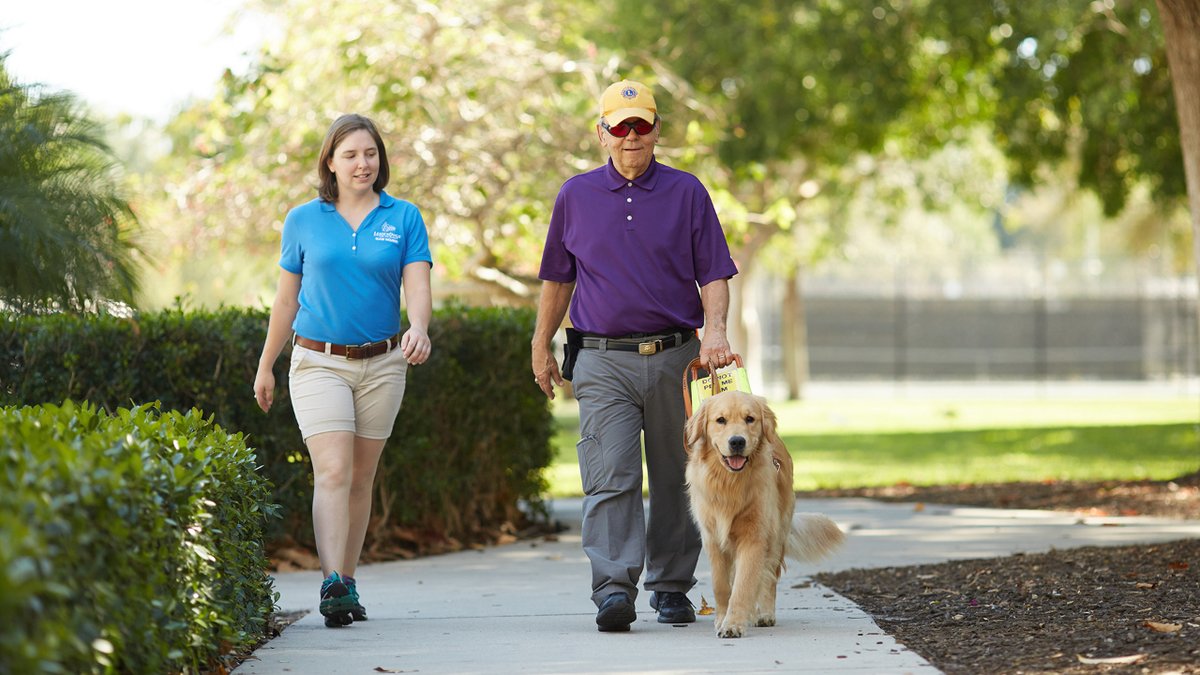 it's #InternationalGuideDogDay! We want to celebrate our members who work so hard to train these incredible dogs. There are more than 12,750 Guide Dog teams trained by our members, and they make up over 45% of total assistance dog teams. #lifechangers #assistancedogs