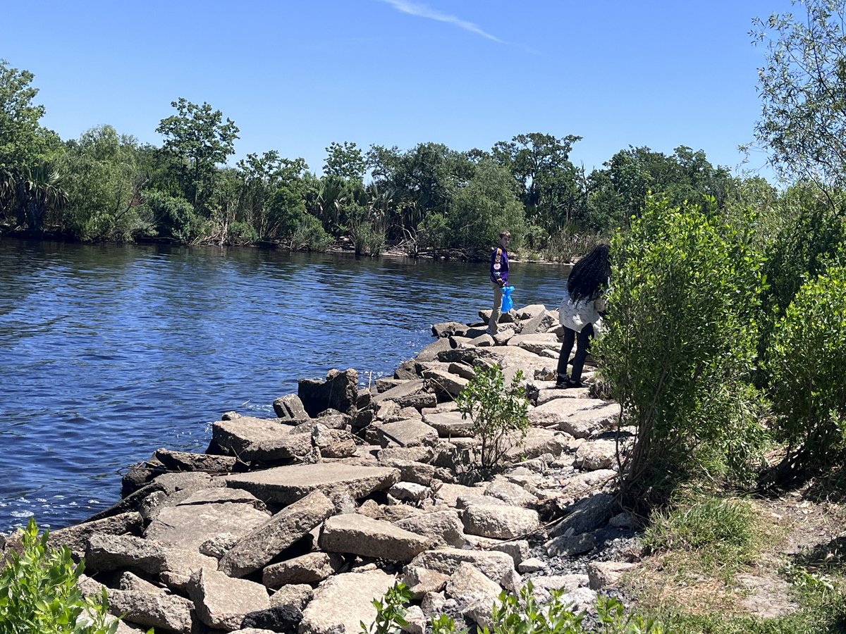 Digital Media tweet media