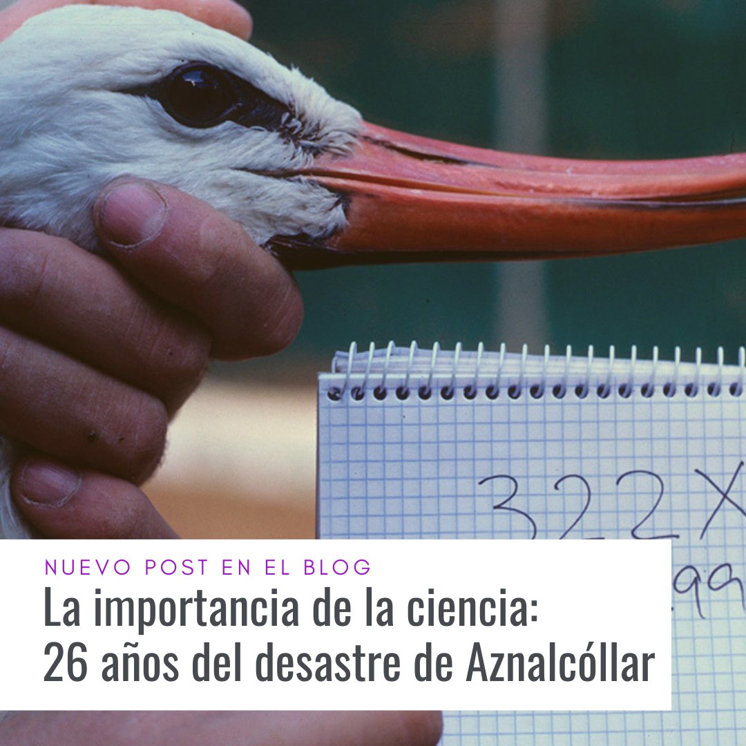 #BLOG Mañana se cumplirán 26 años de un evento ecológico que dejó huella en Andalucía. Doñana se vio amenazada por millones de metros cúbicos de lodo procedente de la mina de Aznalcóllar El CSIC jugó un papel fundamental en la búsqueda de soluciones ⬇️⬇️ t.ly/MQw9q