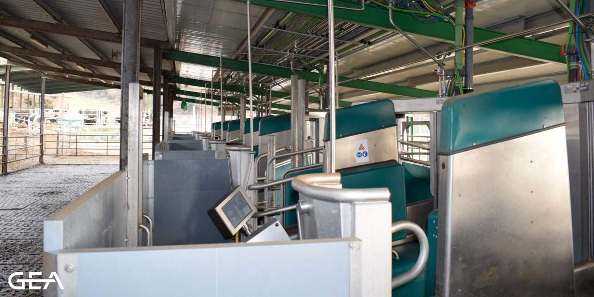 Many dairy farms are struggling to attract or retain employees. #Batchmilking solutions from GEA offer an attractive work environment with standardized milking routines.
Increase your flexibility with batch milking from GEA: go.gea/3aQ #nextgenerationfarming #TeamGEA