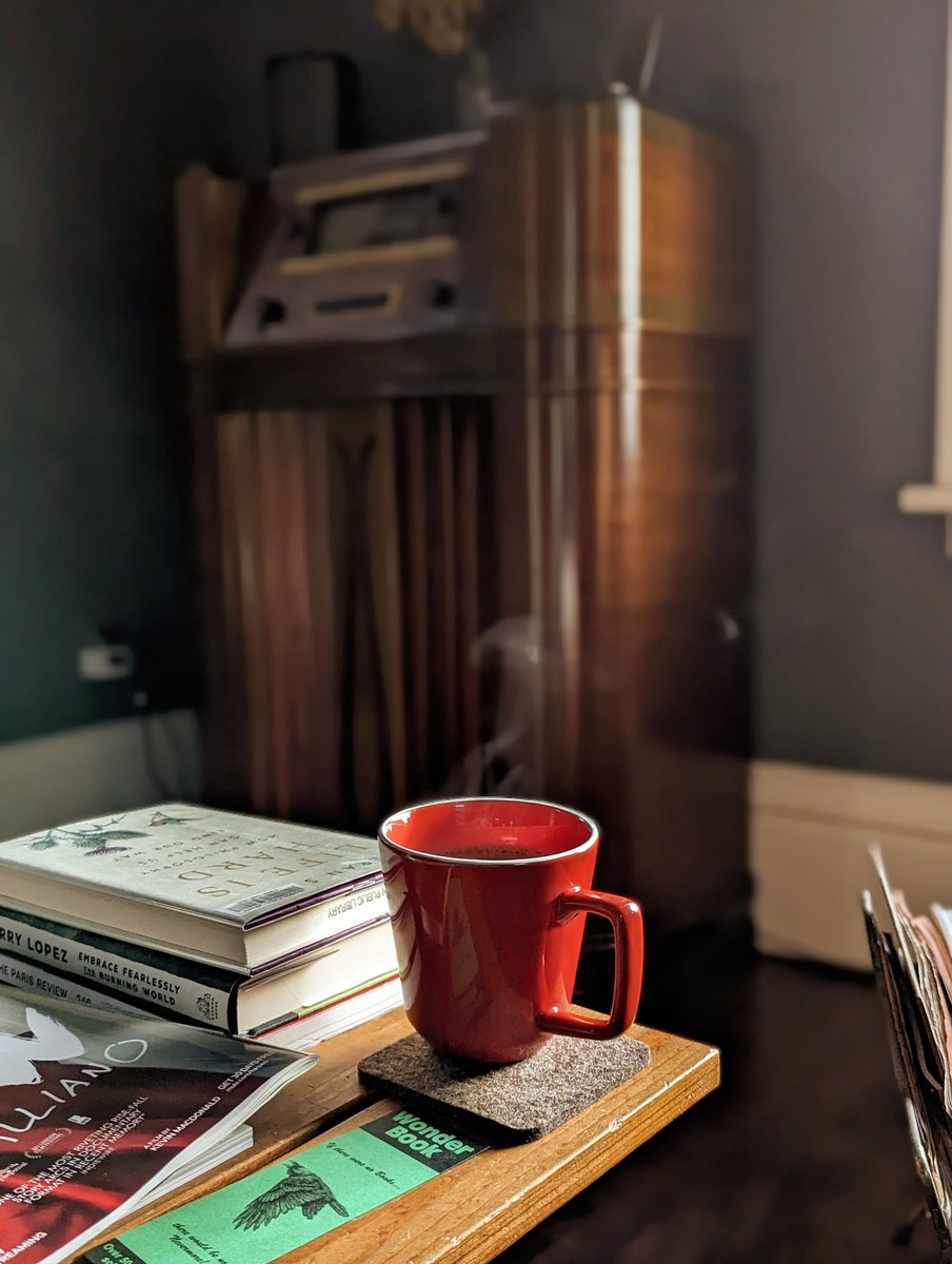 mrAkomarov's tweet photo. A quiet morning, everything just waking up. I’m alone downstairs with coffee and book. Simple joys. ☕✨ https://t.co/Ulcd1y0aWW