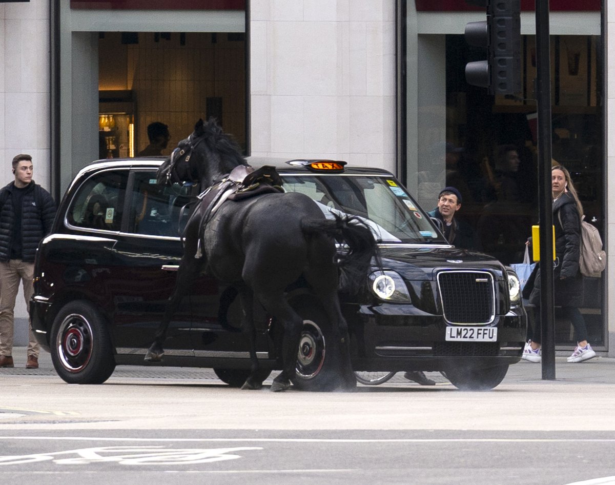 Military horses have bolted through central London, leaving four people needing hospital treatment. A number of people, including Army personnel, were injured as seven of the animals got loose.