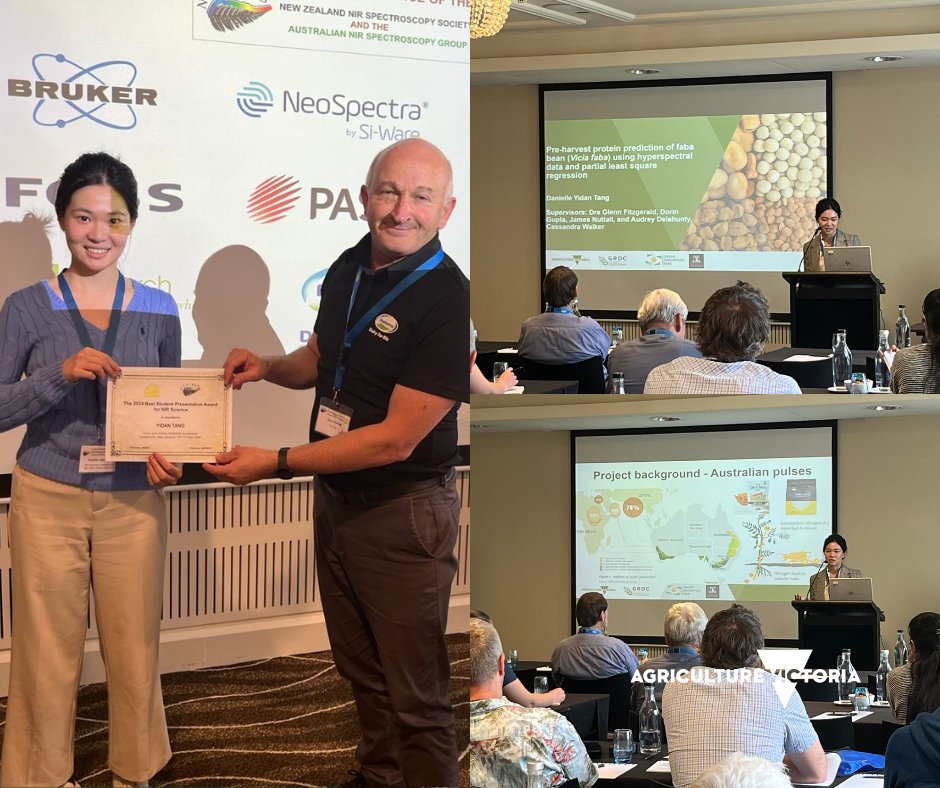 👏 Congratulations Danielle Tang, #Horsham #SmartFarm @SciMelb PhD student on receiving the 2024 Best Student Presentation Award for #NIR Science for her presentation on how to predict #FabaBean quality using sensors pre-harvest at the 20th ANISG conference #NZNIRSS #AgChatOz