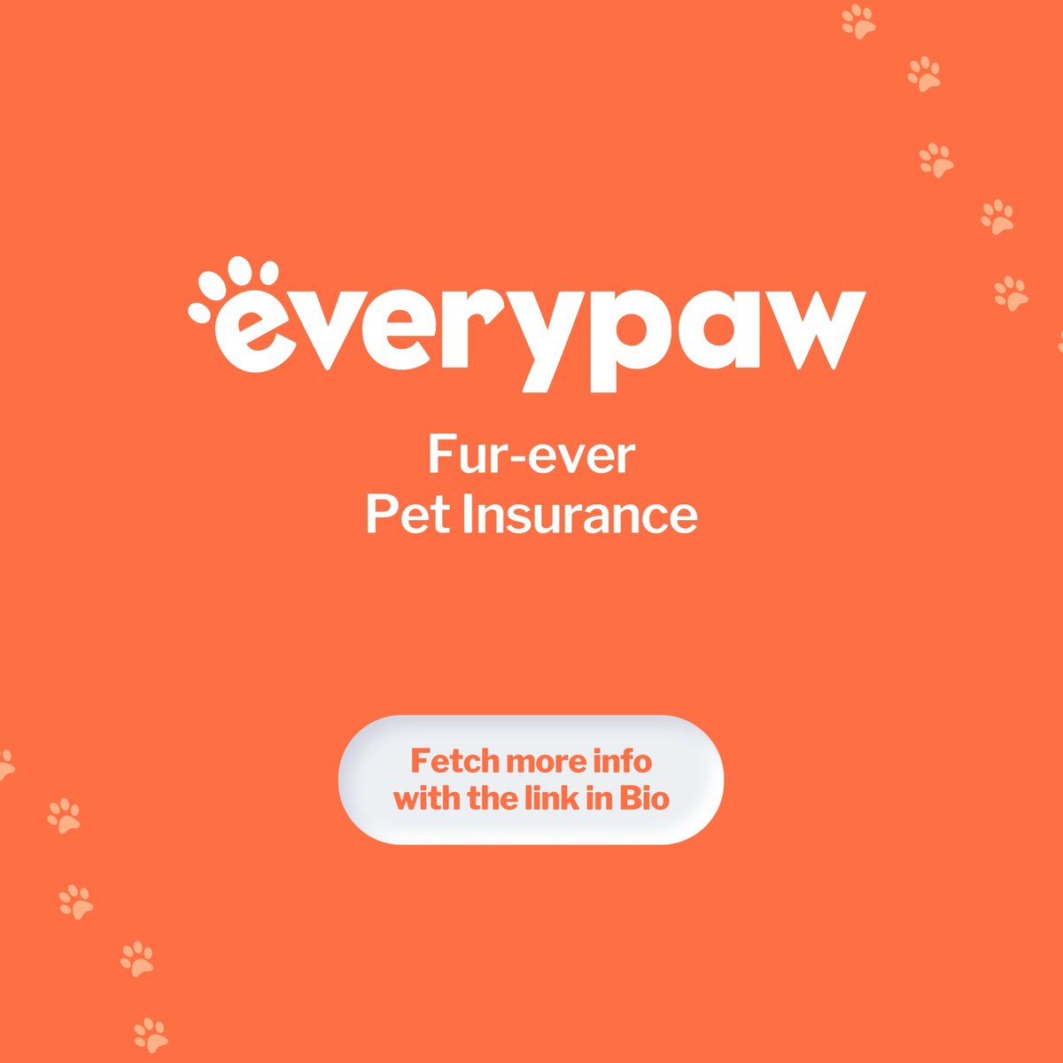 everypawuk tweet picture