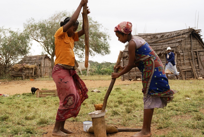 🔵 En Madagascar cada año desaparecen 300.000 hectáreas de bosque  Manos Unidas colabora con la Archidiócesis de Antsiranana en un proyecto que lucha contra la pobreza desde la ecología integral 👉 Más info: manosunidas.org/noticia/dia-in…