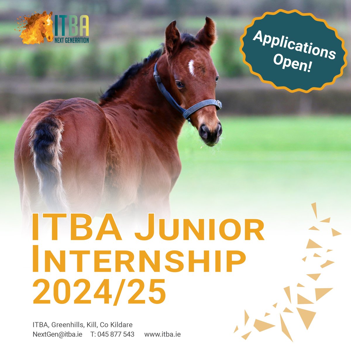 𝐈𝐓𝐁𝐀 𝐍𝐞𝐱𝐭 𝐆𝐞𝐧𝐞𝐫𝐚𝐭𝐢𝐨𝐧 𝐈𝐧𝐭𝐞𝐫𝐧𝐬𝐡𝐢𝐩 𝐒𝐜𝐡𝐞𝐦𝐞 applications open for 2024/25  

🎓ITBA Internship Scheme
📚 ITBA Junior Internship

Placements and work experience in the thoroughbred industry. Application forms available: shorturl.at/yBDY6
