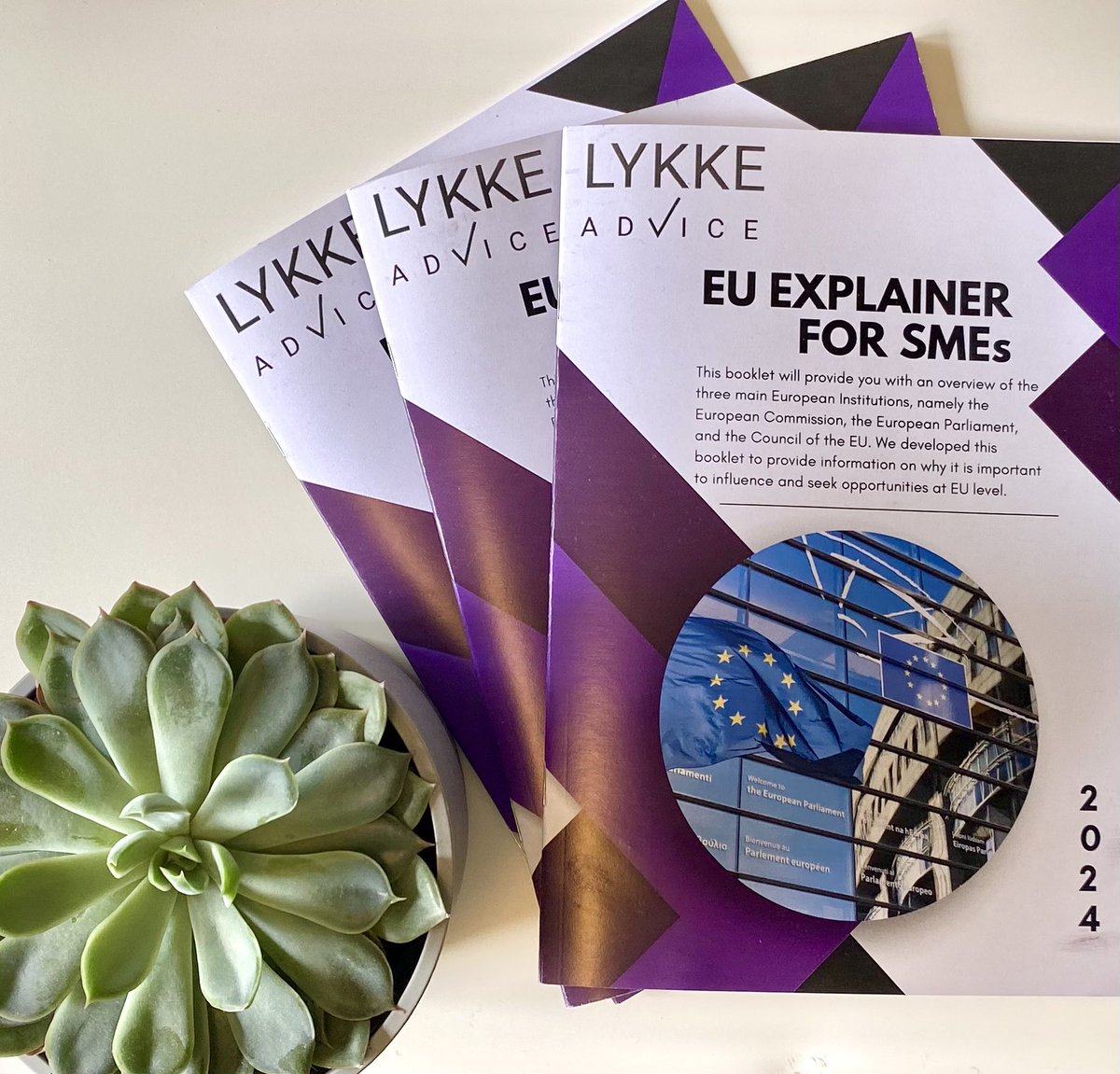 AdviceLykke's tweet photo. 📢 Last remaining free copies of our EU #Explainer for #SMEs, a comprehensive booklet that offers a concise overview of #EU functioning and empowers your #business.

📩 Reach out at info@lykkeadvice.eu to get your copy! https://t.co/BAxEXrXbW5