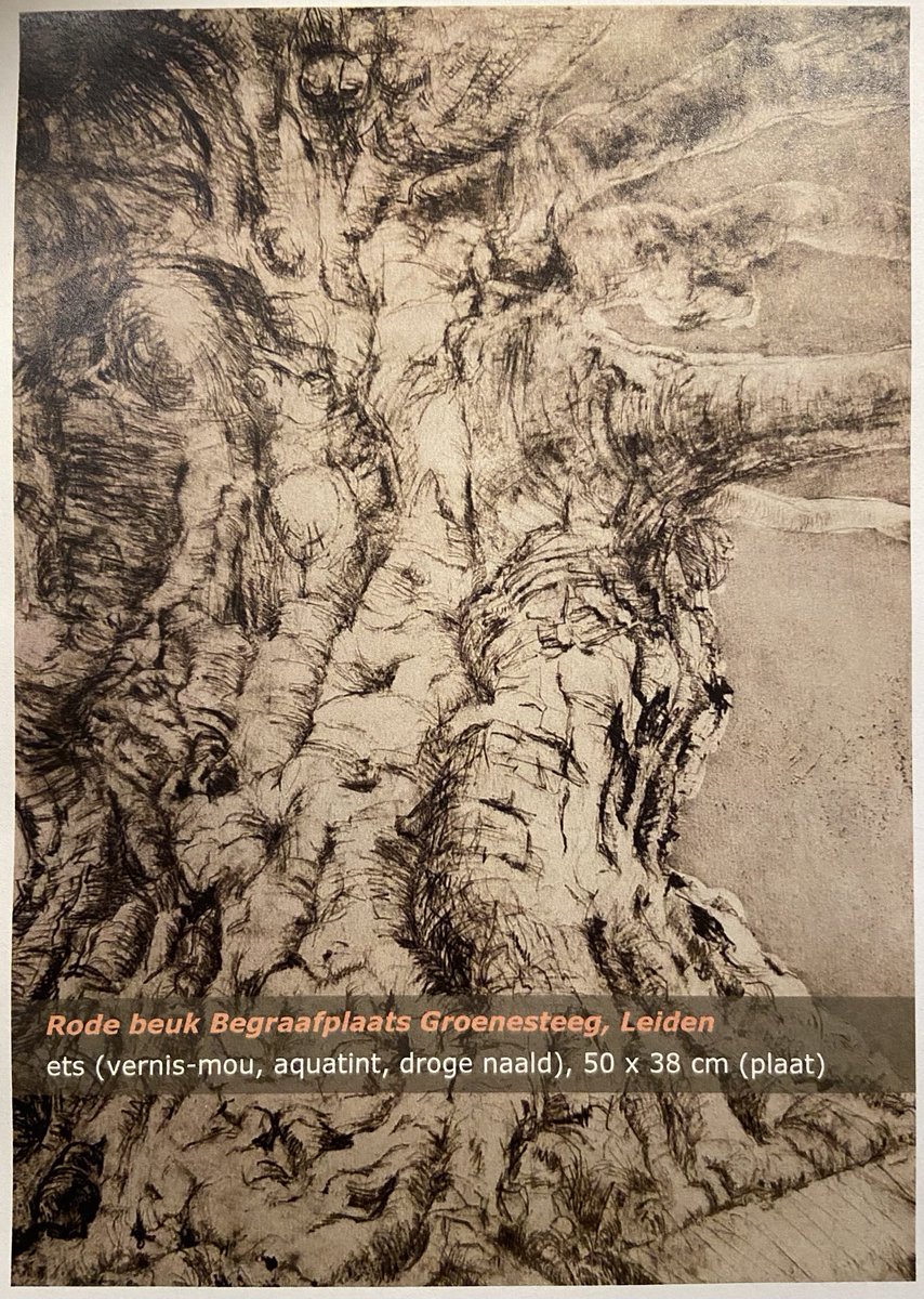 LatynNL's tweet photo. Vrijdag 26 april om 15 uur: opening van de grafiek-expositie ‘Bomen - onze buren’ van Lisanne Wepler in de aula van de Historische Begraafplaats Groenesteeg. Wees uitgenodigd!

Vandaag heeft zij samen met mij enkele bomen getagd, opdat deze ons extra aanspreken.

#stadsbomen #ets https://t.co/Wm7XbLmzV6